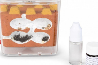 Ideas de regalos educativos para niños : Granja de Hormigas