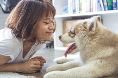 Cómo es el primer mes de vida de un cachorro
