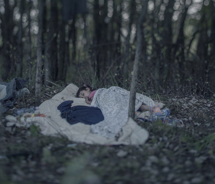 Lamar, 5 años, Horgos, Serbia